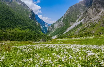 Valley of Flowers Fixed Departure Tour from Delhi