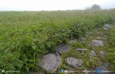 Trail of Valley of flowers in monsoon.