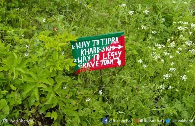 Way to Tipra Kharak - Valley of flower