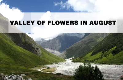 Valley of flowers In August