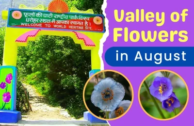 Valley of flowers In August