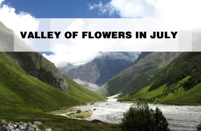 Valley of flowers In July