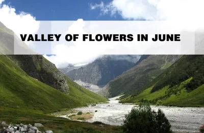 Valley of flowers in June