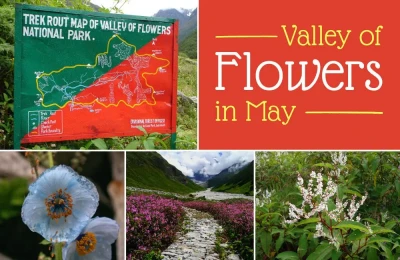 Valley of flowers in May