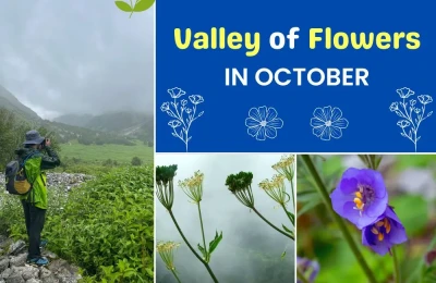 Valley of flowers In October