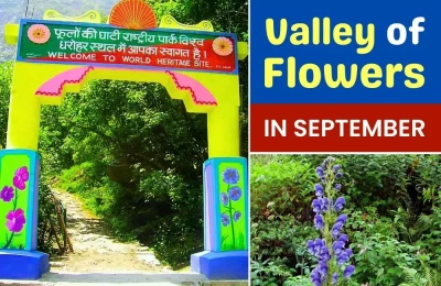 Valley of flowers In September