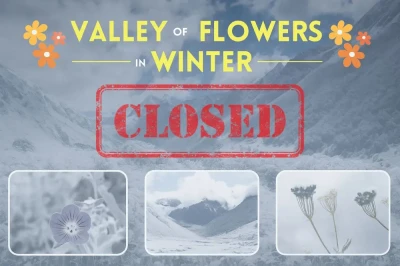 Valley of flowers in Winters