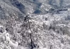 Abbot Mount regions after snowfall in winters
