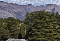 Abbott Mount Hill Station