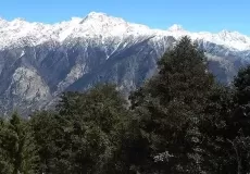 Auli during spring
