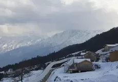 Auli