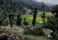 Balanti Potato Farm