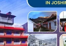 Top 10 Hotels in Joshimath