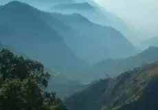 Dense green mountains view from Bhimtal road.