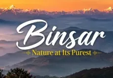 Binsar