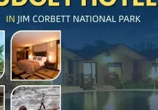 Budget Hotels in Jim Corbett National Park