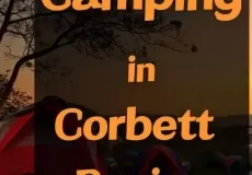 Camping in Corbett Region