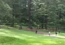 High altitude cricket Match at Koti kanasar chakrata.
