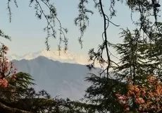 Thana Danda Peak