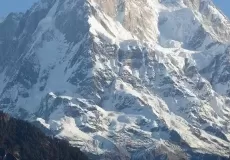 Chaukhamba Peak from Ransi Village