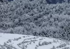 Mesmerising view of secluded house and snow capped fields in Chaukori in winters