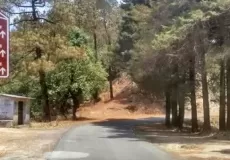 Road towards Lansdowne from Chelusain