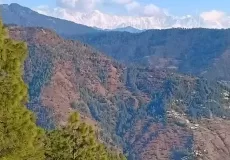 Himalaya views from Chirbatia