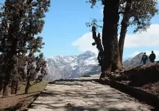 Tranquility at Chopta