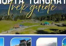 Chopta Tungnath Trek