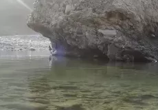Outskirts Of Jim Corbett National Park, Uttarakhand
