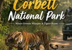 Corbett National Park