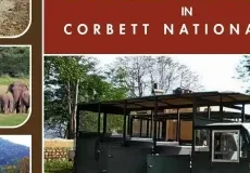 Canter Safari Booking in Corbett National Park