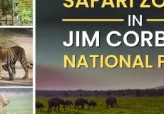Safari Zones in Jim Corbett National Park