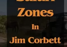 Safari Zones in Jim Corbett National Park