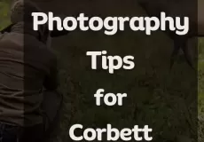 Wildlife Photography Tips for Corbett National Park