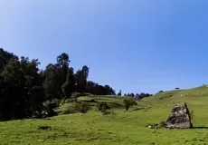 Green Meadows of Dayara Bugyal.