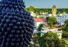 Budhha temple, Dehradun, Uttarakhand.