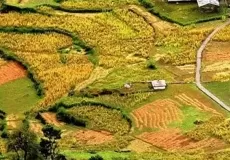 Saari Village - On the way to Deoriyatal, Uttarakhand.