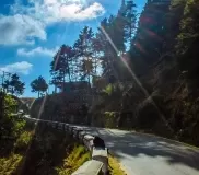 Beautiful roads in Dhanaulti.