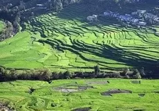A beautiful view of village Dhaule(Didihat), Pithoragarh.
