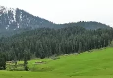 Scenic Beauty of Doodhpathri