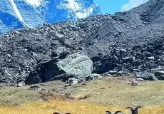 Gangotri National Park