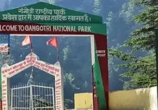 Gangotri National Park