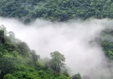 Forest near Haldwani