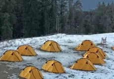 Camps in Kedarkantha base camp 