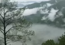 Majestic View of Pine trees and Clouds in Lansdowne