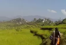 view of Dhoni Silinga village near Lohaghat.