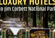 Luxury Hotels in Jim Corbett National Park