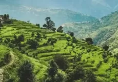 Terrace Fields before reaching Makkumath