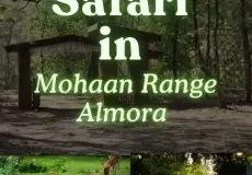 Mohan Range of Almora Safari